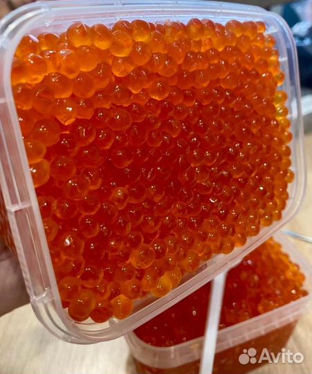 Икра красная Кета путина осень-2023 premium