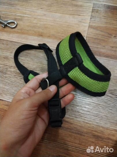 Вещи для собак