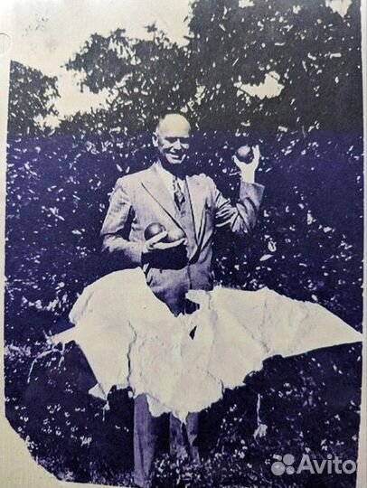 Реставрация старых фотографий