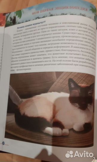 Моя первая энциклопедия