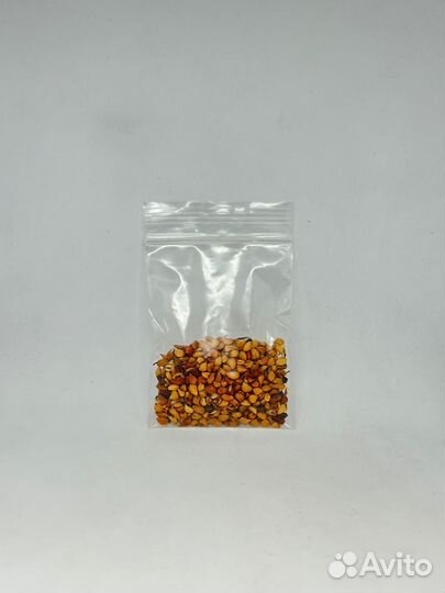 Семена Шиповник Турецкий