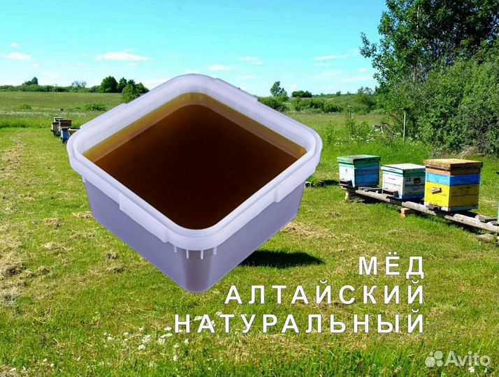 Мёд натуральный алтайский оптом