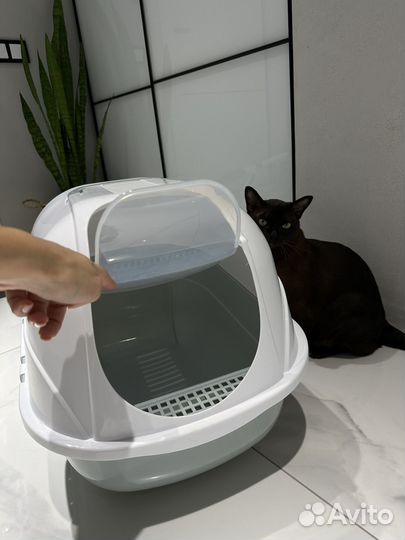 Туалет домик для кошек