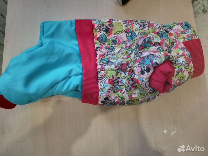 Зимний комбинезон на мелкую собаку