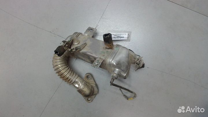 Охладитель отработанных газов Renault Trafic, 2017