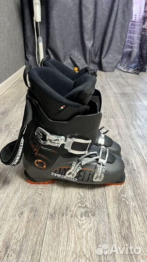 Горные лыжи