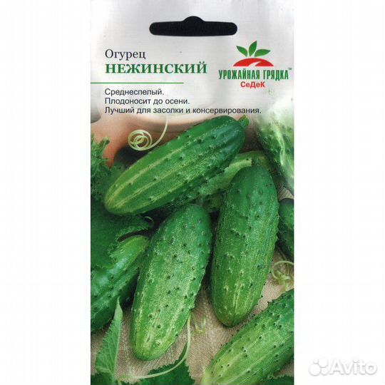 Семена огурцов