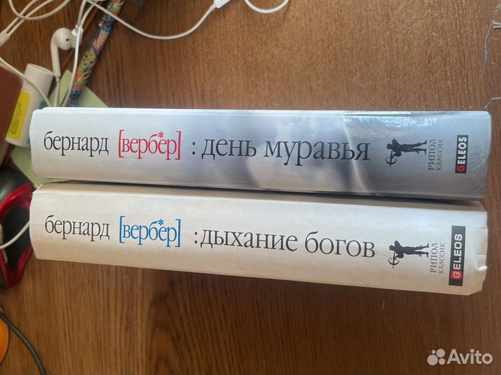День муравья