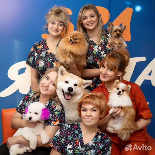 Стрижка животных