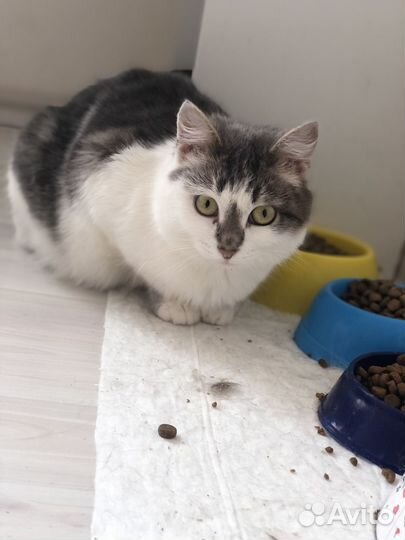 Луша ищет семью