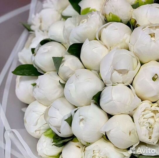 Пионы Букет