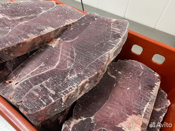 Мясо конина