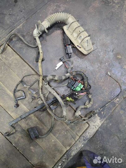 Моторная проводка x20dth opel vectra b