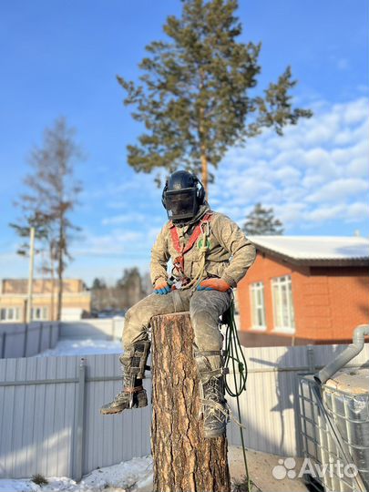 Спилить дерево