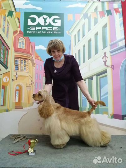 Открыт для вязок