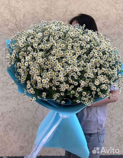 Букеты. Доставка ромашек