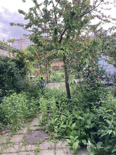 Дом 60,9 м² на участке 5,5 сот.