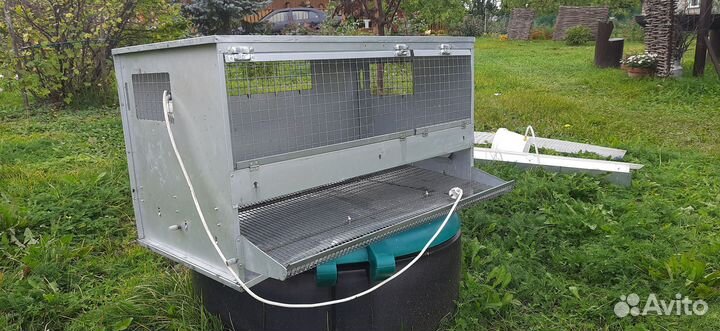 Клетки для кур несушек