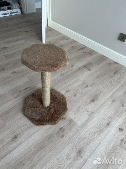 Когтеточка