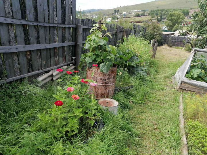 Дом 53,9 м² на участке 13 сот.