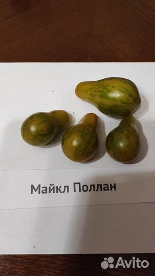 Семена коллекционных томатов