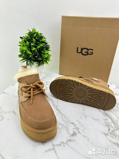 Угги ugg