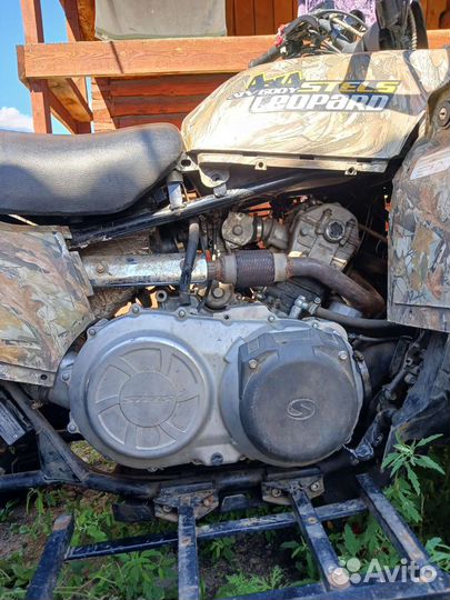 Стелс леопард 600