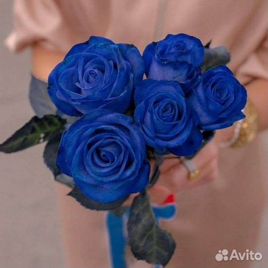 Цветы розы букет