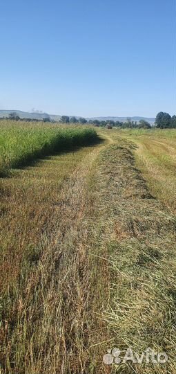 Сено в тюках