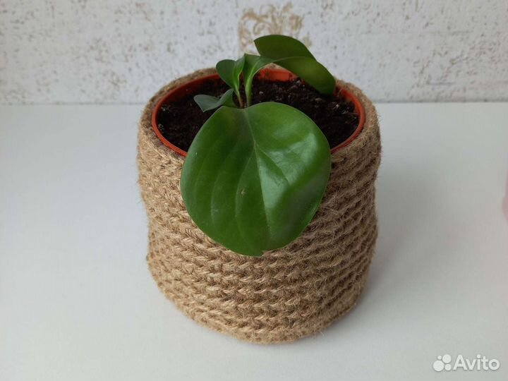 Джутовая корзина