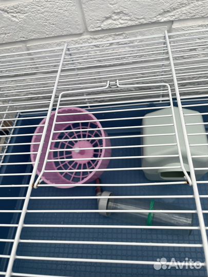 Клетка для грызунов