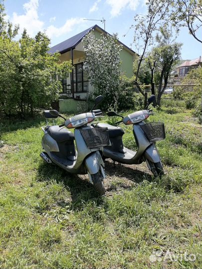 Прокат, аренда мопеда, Анапа