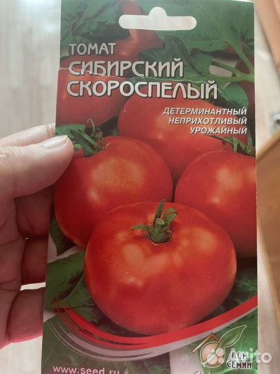 Рассада помидоров