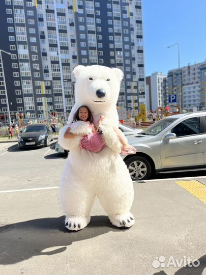 Белый мишка поздравление