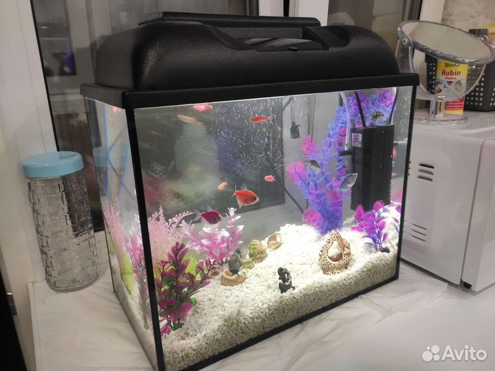 Аквариум под ключ 30 литров