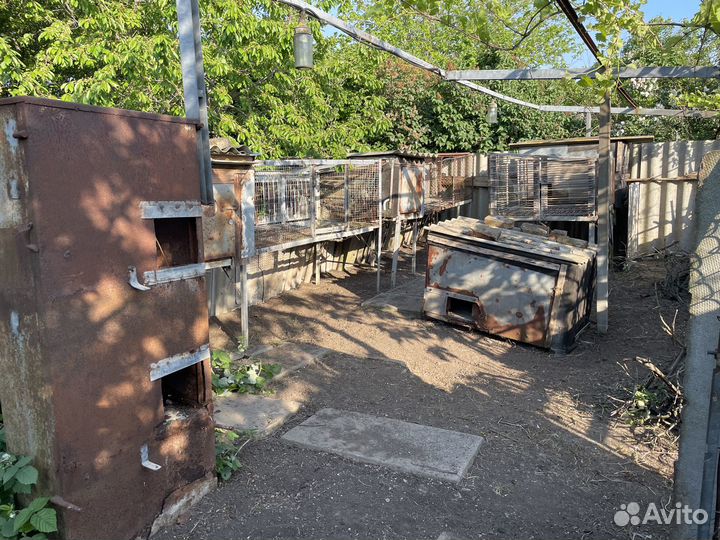 Клетка для нутрий или кроликов