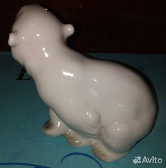 Белый медведь