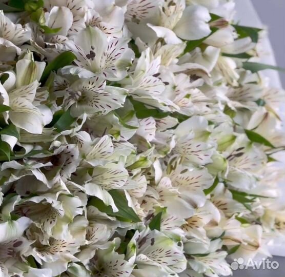 Букет из альстрамерий