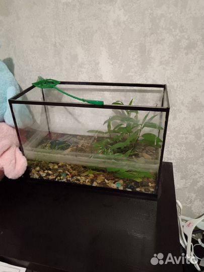 Аквариумы 60 и 35л
