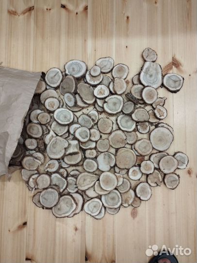 Спилы можжевельника