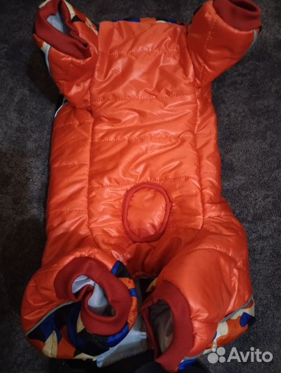 Костюм для собаки унисекс