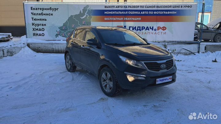 Уплотнитель стекла двери заднего левого Kia Sporta