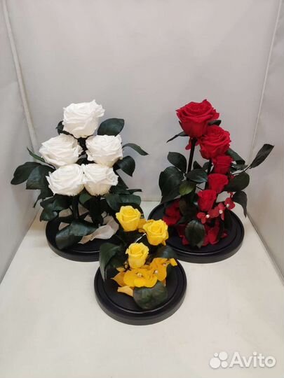 Роза в колбе оптом и в розницу