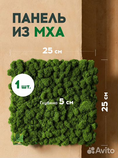 Готовая панель из мха