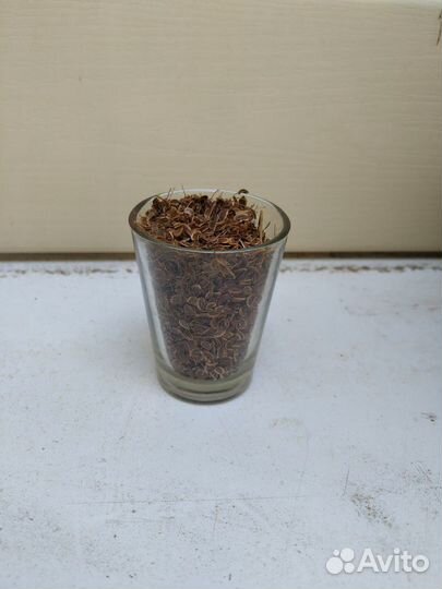 Семена укропа