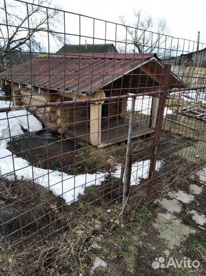 Конура для собаки