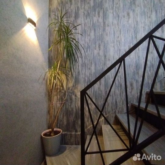 Пальма драцена