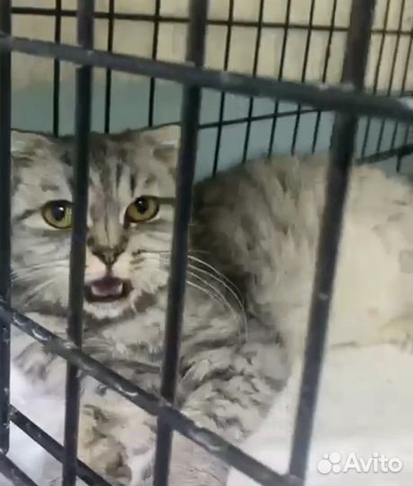 Шанс на жизнь