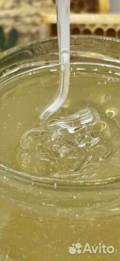 Мёд натуральный из белой акации