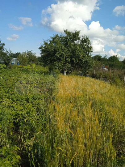 Участок 10 сот. (СНТ, ДНП)